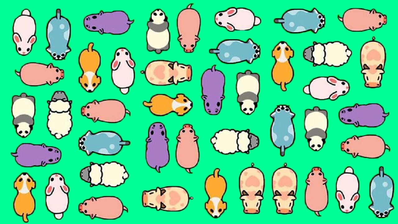 精彩截图-救救小猪吧2026官方新版