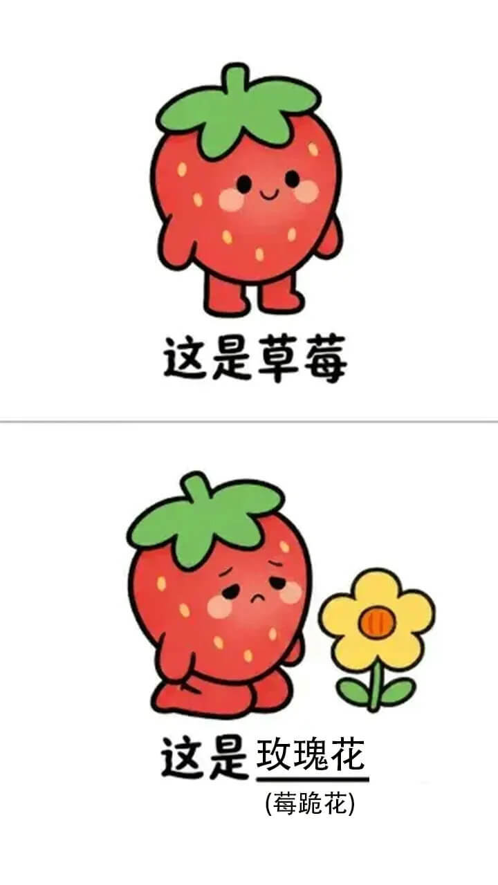 精彩截图-谐音梗大冒险2026官方新版