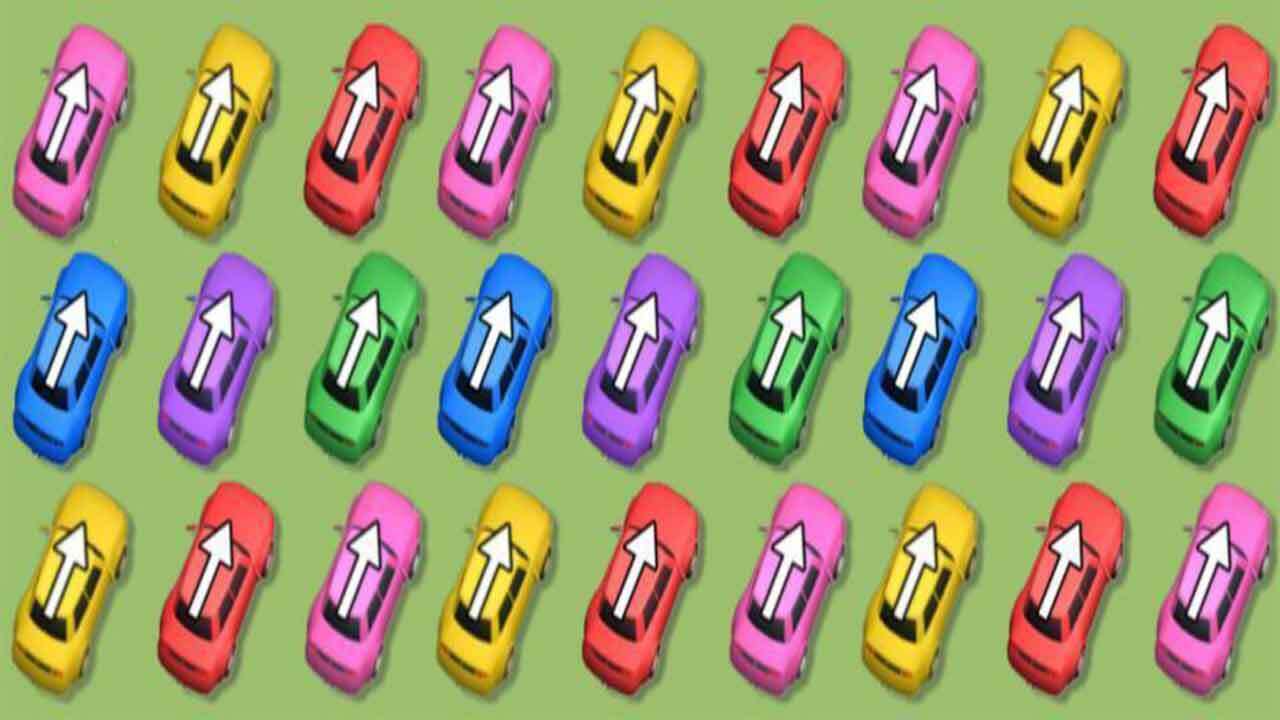 精彩截图-我的汽车站2026官方新版