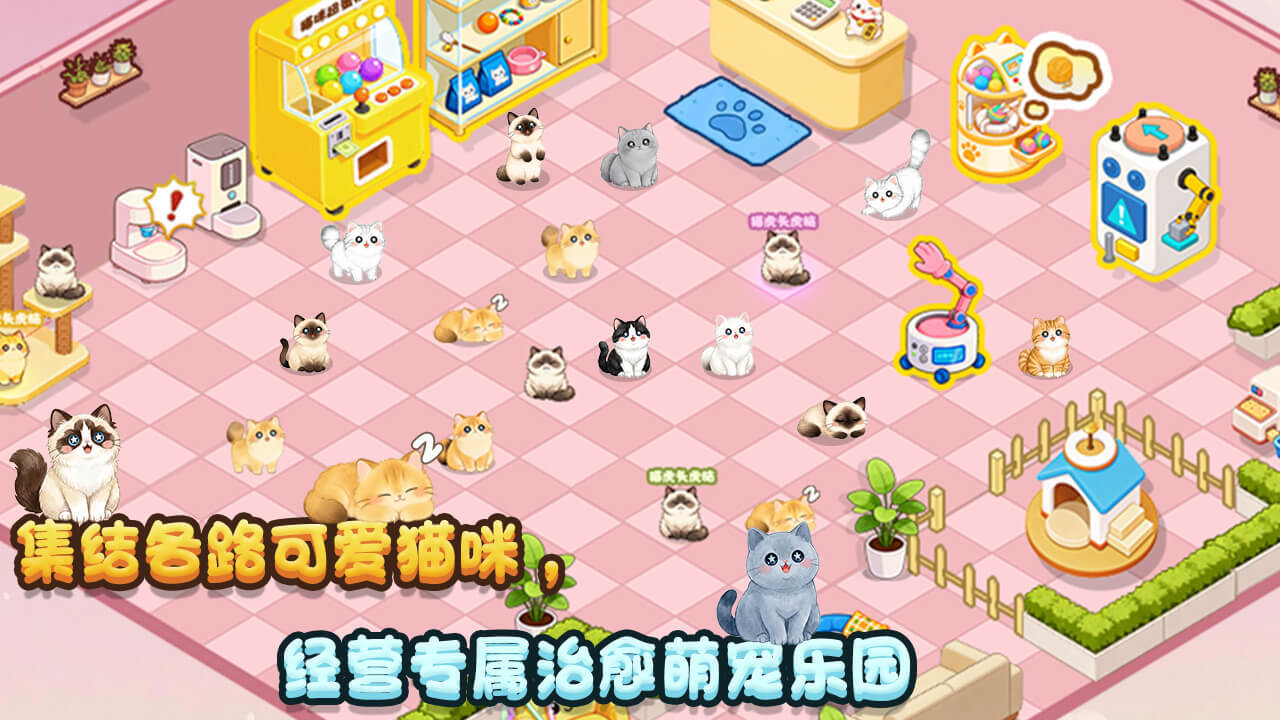 精彩截图-重生开猫咖2026官方新版