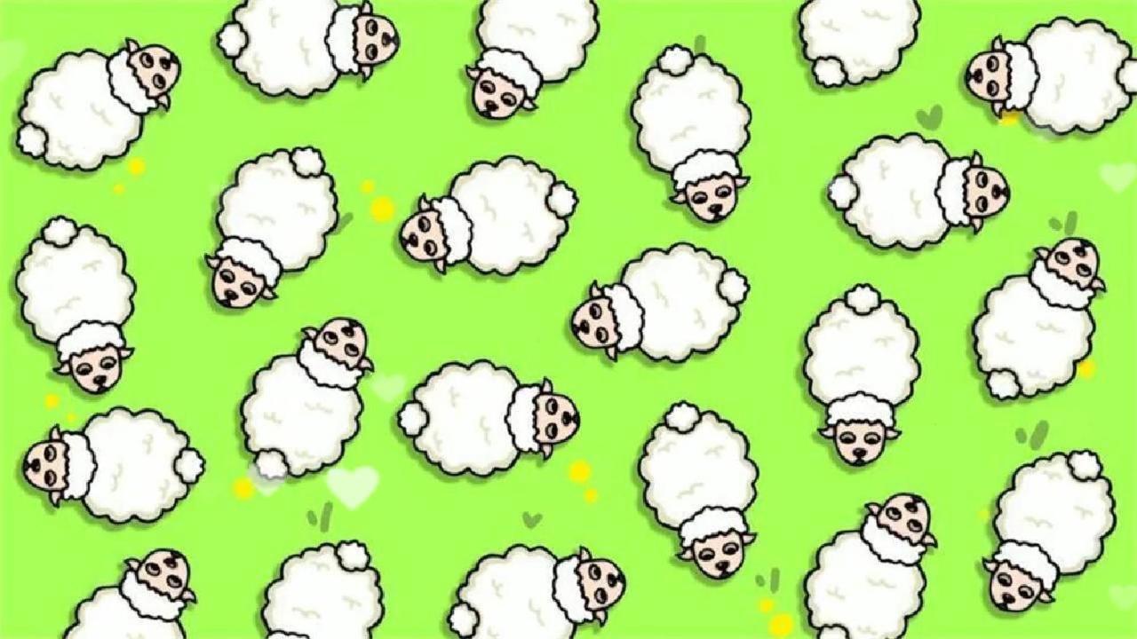 精彩截图-挪羊消消消乐2026官方新版