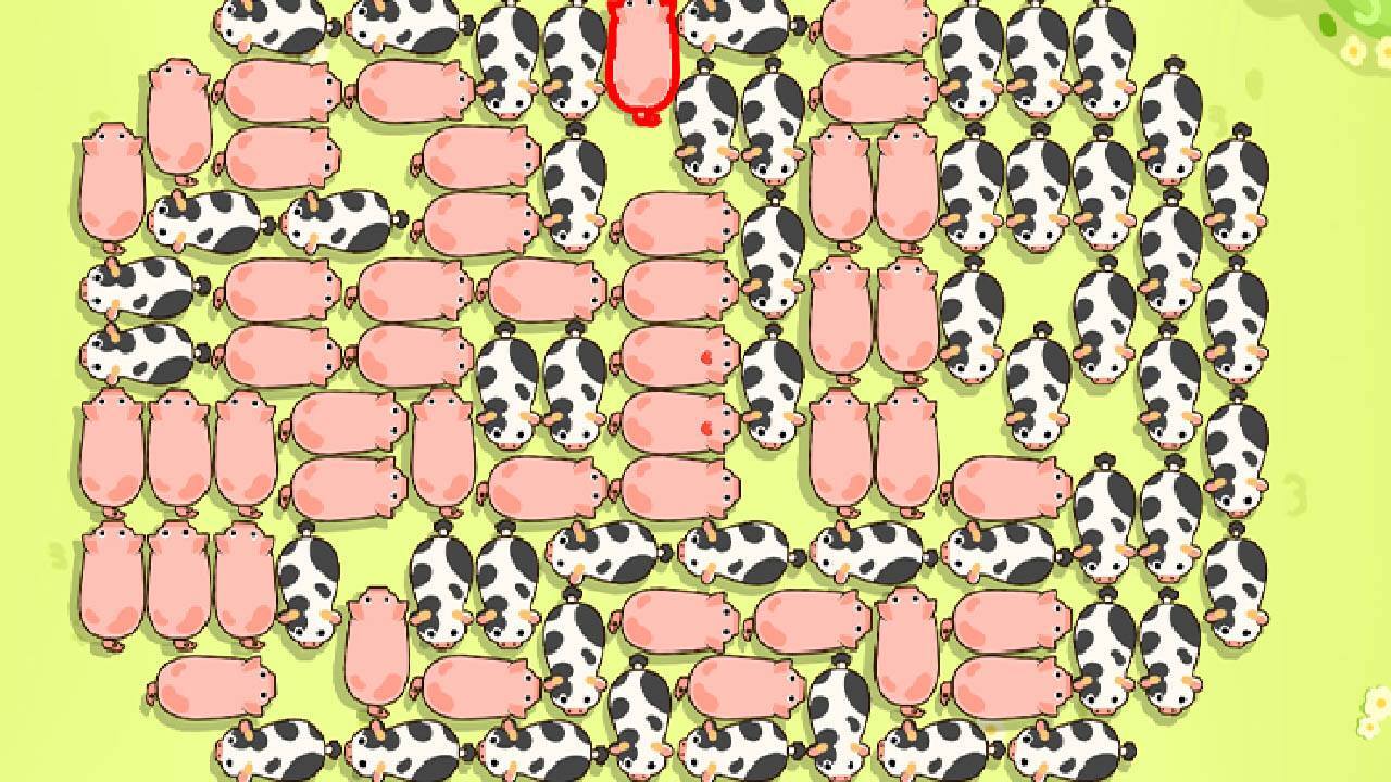 精彩截图-根本难不住我2026官方新版