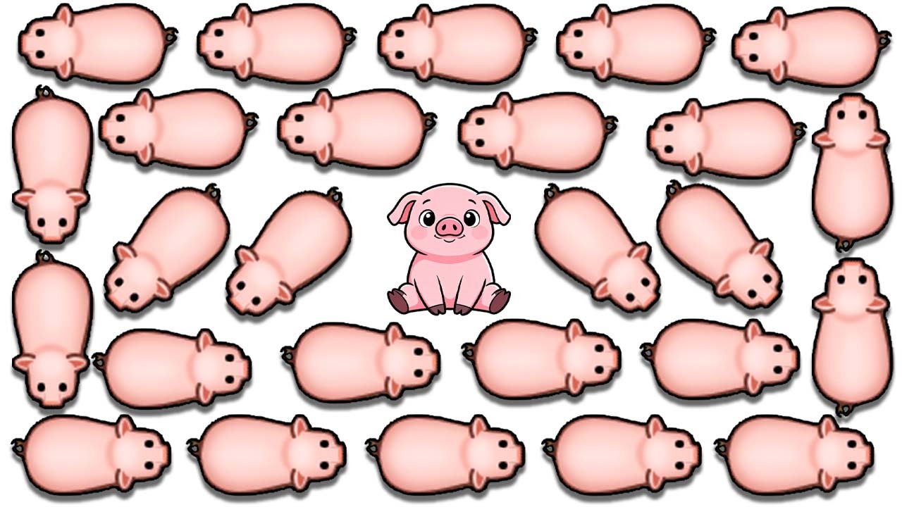 精彩截图-救救小猪猪消除2026官方新版