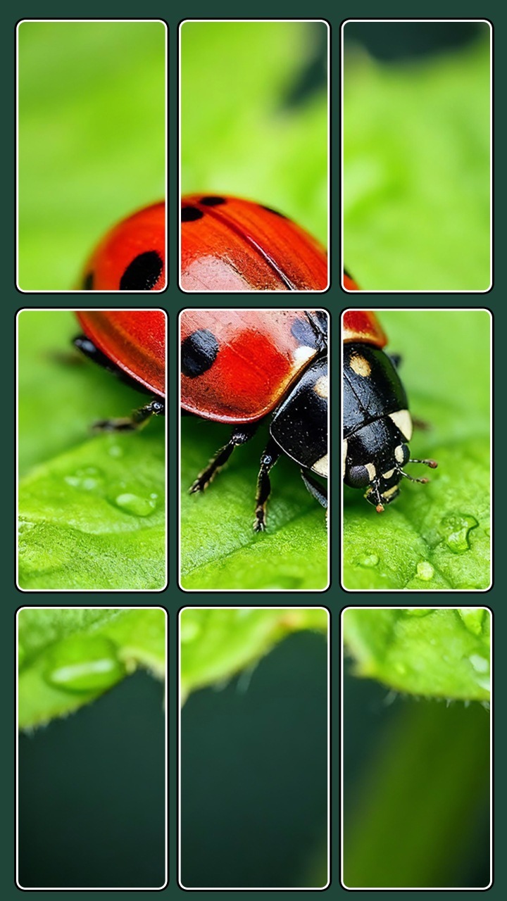 精彩截图-图文来找茬2026官方新版