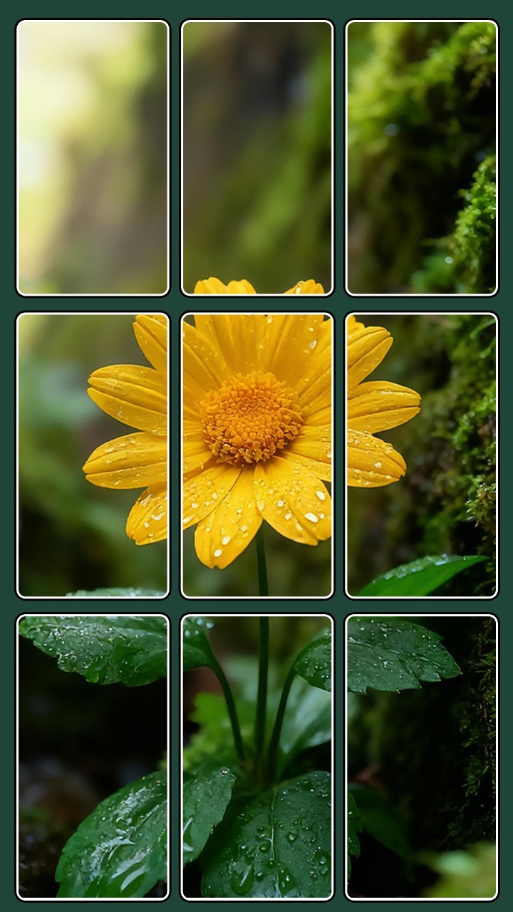 精彩截图-图文来找茬2026官方新版