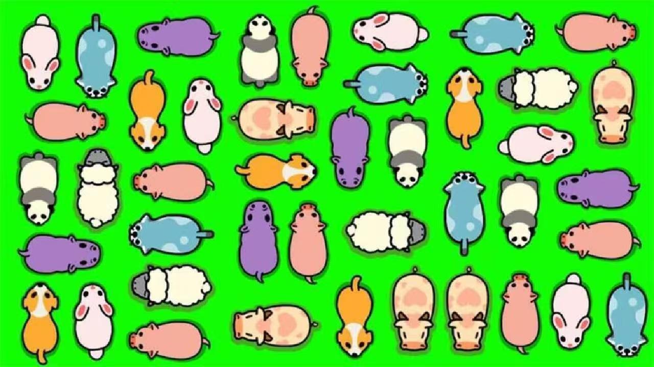 精彩截图-救救小羊游戏2026官方新版