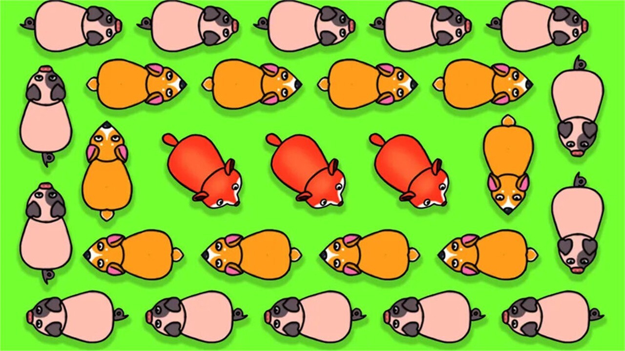 精彩截图-救救小猪猪消除2026官方新版