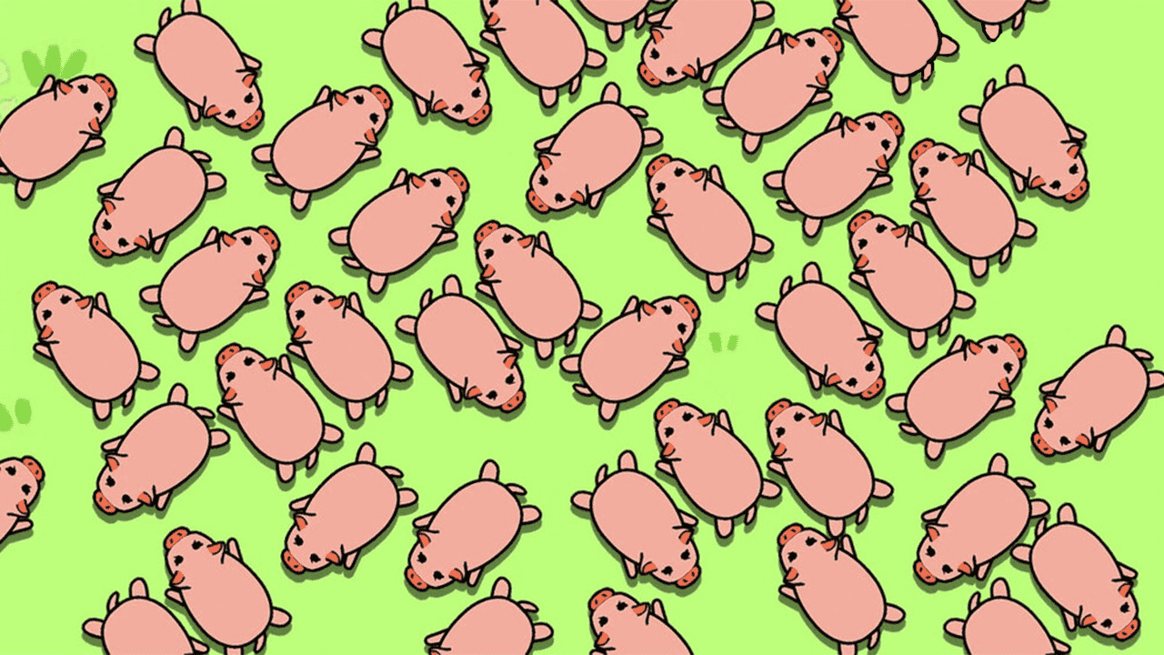 精彩截图-救救小猪吧2026官方新版