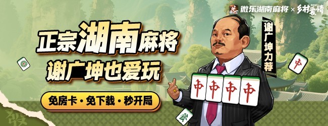 微乐湖南麻将应用截图1