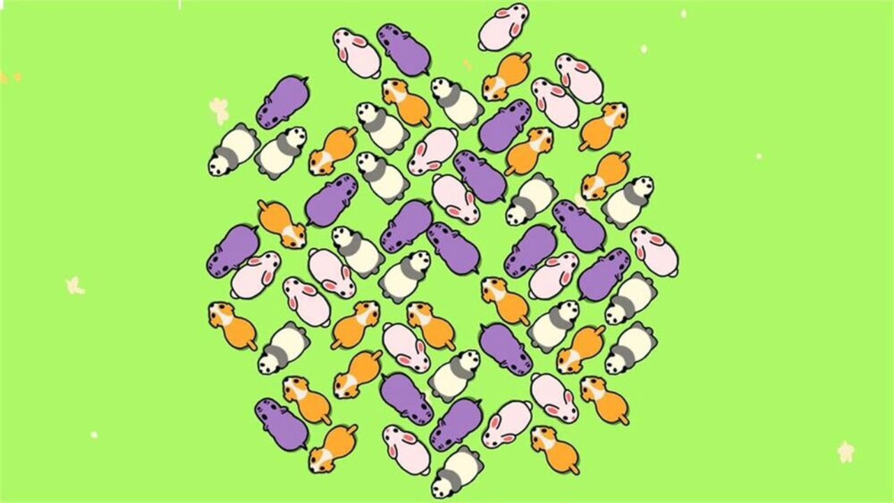 精彩截图-解救小猪脱困2026官方新版