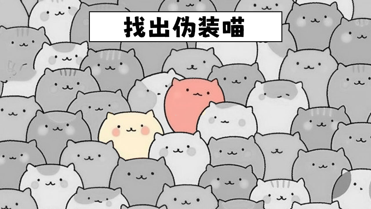 精彩截图-圈圈大消除2026官方新版
