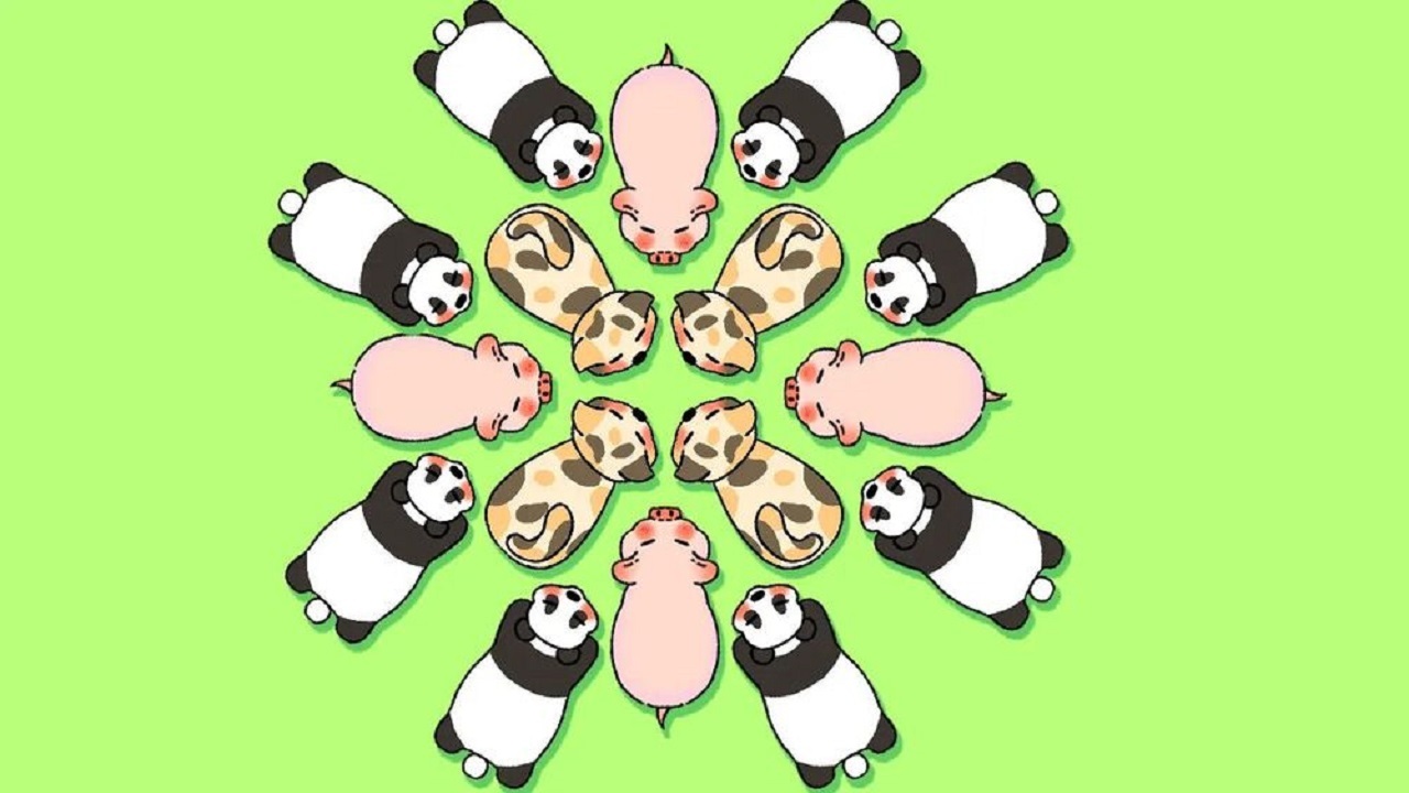 全民养猪场小游戏 截图 3
