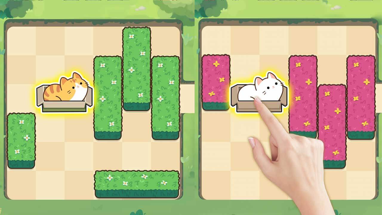 精彩截图-烧脑红木2026官方新版