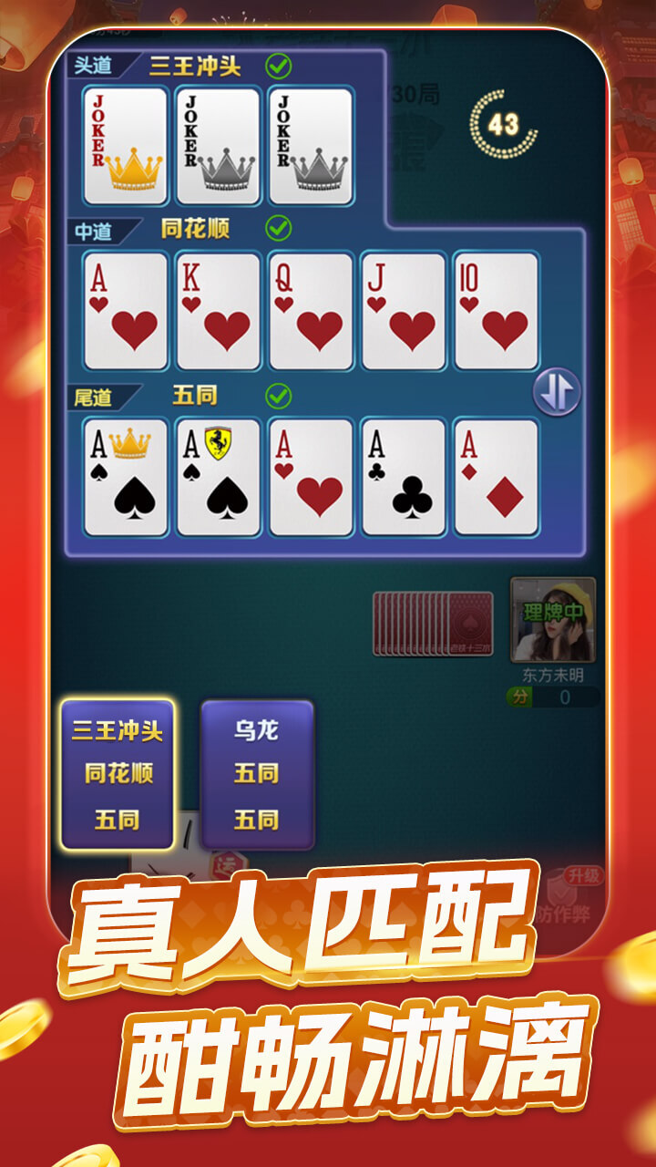 老铁十三水 截图 3