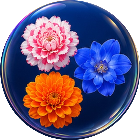 花开消除