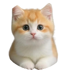 救救小宠物2026官方新版图标