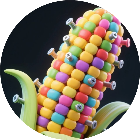 我脑洞方了2026官方新版图标