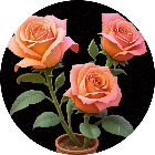 花朵叠叠消2026官方新版图标