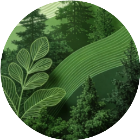 肯定能过100关2026官方新版图标