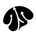 疯狂箭头2026官方新版图标