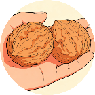 经典盘核桃游戏2026官方新版图标