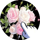 花朵拼拼消消乐2026官方新版图标