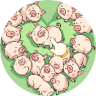 救出猪猪2026官方新版图标