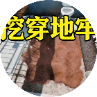 打螺丝露茜2026官方新版图标
