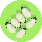 小羊快逃呀2026官方新版图标