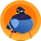 疯狂的鸽子魔性2026官方新版图标