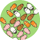 猪和猪2026官方新版图标