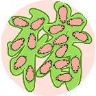 拯救动物大作战2026官方新版图标