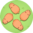 小动物大营救2026官方新版图标