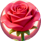 消花达人2026官方新版图标