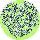 疯狂解压消除2026官方新版图标
