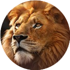 野兽领主：新世界2026官方新版图标