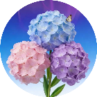 轻松来消除2026官方新版图标