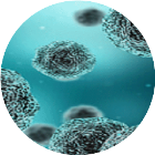 细胞大战2026官方新版图标