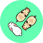 眼神不太好2026官方新版图标