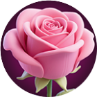 果汁缤纷乐2026官方新版图标