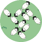 解救小猪2026官方新版图标