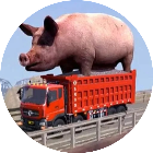 卡车模拟驾驶2026官方新版图标