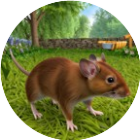 老鼠模拟生存2026官方新版图标