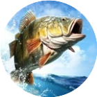 钓鱼达人2026官方新版图标