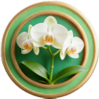 帮她解解压2026官方新版图标