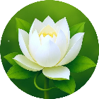 消消乐花朵2026官方新版图标