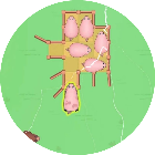 挪小猪2026官方新版图标