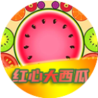 红心大西瓜碰碰碰2026官方新版图标