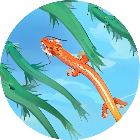 大鱼吃小神龙进化2026官方新版图标