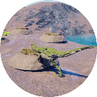 怪兽巢穴恐龙2026官方新版图标